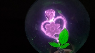 Heart & Flowers Aerolux Light Bulb from 1930s  Gadgetify
