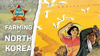 DPRK Agriculture EXPLAINED | Farming in North Korea