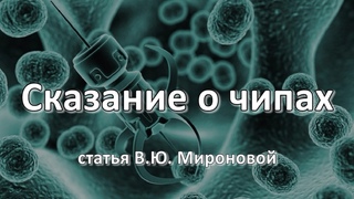 СКАЗАНИЕ О ЧИПАХ. Статья В.Ю.Мироновой от
