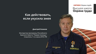 Как действовать, если укусила змея
