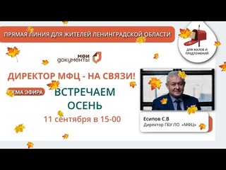 Директор МФЦ - на связи!