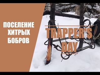 Охота НА БОБРА капканами ЗИМОЙ! Проверка поселения ХИТРЫХ бобров! BEAVER Trapping.
