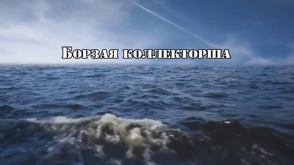 Борзая коллекторша из Восточного экспресс банка с