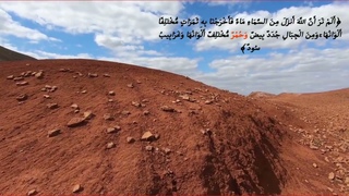 الموسوعة القرآنية، الألوان، الأحمر