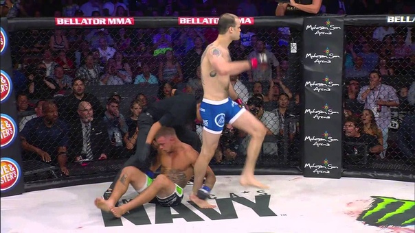 Bellator MMA: Patricio Pitbull Becomes New Featherweight World Champion bellator mma: patricio pitbull