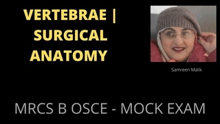 VERTEBRAE | SURGICAL ANATOMY