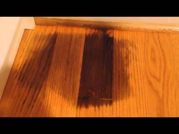 Remove pet urine on hardwood