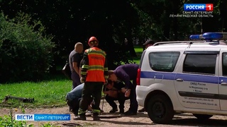 Вести Санкт-Петербург. Выпуск 14:30 от