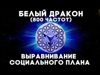 Белый Дракон (800 Частот) Выравнивание Социального Плана | Медитация Материальные Блага