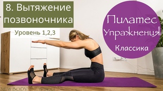 8. Вытяжение позвоночника / Оригинальная последовательность Джозефа  Пилатеса | New4Body | Надя Жук