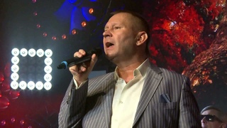 Алексей Стёпин - Под одним зонтом (hd) #новинка #питер