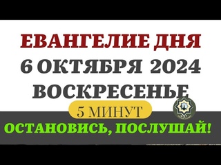6 ОКТЯБРЯ ВОСКРЕСЕНЬЕ ЕВАНГЕЛИЕ ДНЯ 5 МИНУТ АПОСТОЛ МОЛИТВЫ 2024 #мирправославия