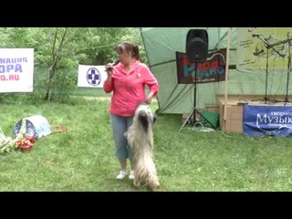 Лесной концерт 2018 Наталья Добринская и Лапочка
