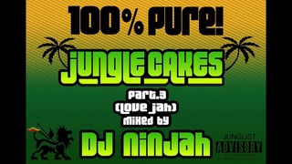 100% PURE! Jungle Cakes Part .3 “Love Jah“ Mixed by Dj Ninjah