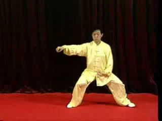 Chen Zhenglei. Chen Style Taijiquan first frame (chen shi taijiquan xin jia i lu)