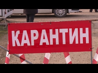 В Изобильненском округе вспышка птичьего гриппа