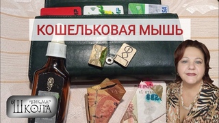 Как сделать денежный талисман на новолуние своими руками. Энергопрактика в рамках Марафона PROденьги