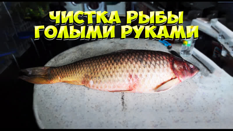 Чистка рыбы голыми