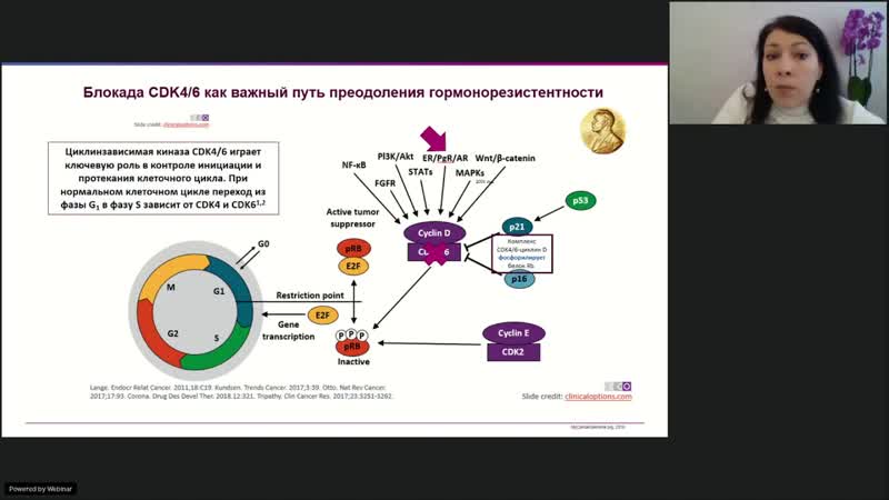 Рак молочной железы (вебинар 12 февраля