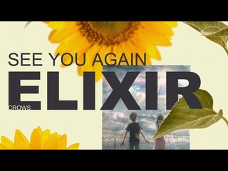 [Elixir] See You Again