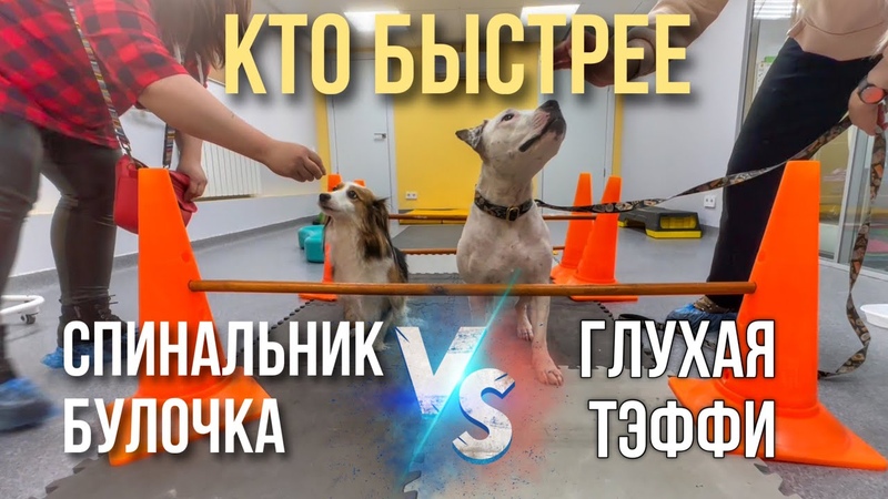 ЗАНЯТИЯ ОСОБЕННОЙ ТЭФФИ И БУЛОЧКИ В РЕАБИЛИТАЦИОННОМ