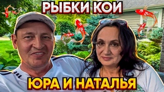 ИНТЕРВЬЮ С ЮРОЙ И НАТАЛЬЕЙ ИЗ МИЧИГАНА О РЫБКАХ И ЖИЗНИ