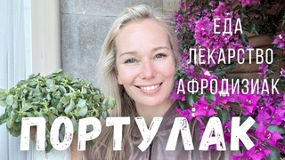 БЕСПЛАТНАЯ ЕДА,  лекарство для мужчин и женщин из сорняков на огороде