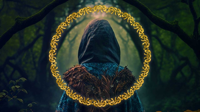 Face your Fears in the Dark Forest, Enchanted Forest