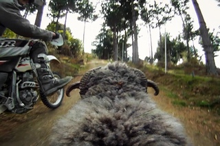 GoPro: Ram vs Dirtbiker