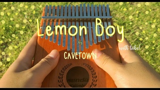 Lemon Boy - Cavetown (kalimba cover with lyrics & tabs)