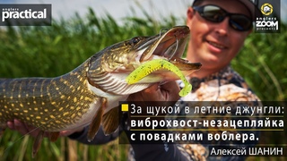 За щукой в летние джунгли: виброхвост-незацепляйка с повадками воблера. Алексей Шанин