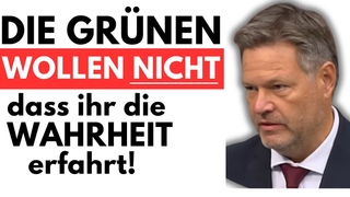 💥AfD DECKT SKANDAL DER GRÜNEN AUF! DIESE NACHRICHT SOLL GEHEIM GEHALTEN WERDEN!💥