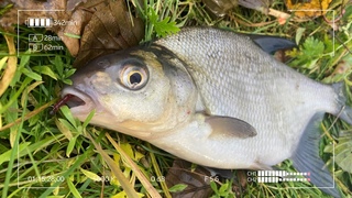 Осеннее мормышечное ассорти. Лови и кайфуй!