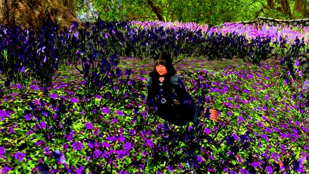 Under a Violet
