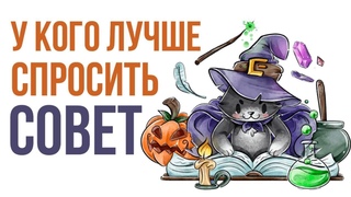 У кого спросить мудрый совет? Максим Каскун
