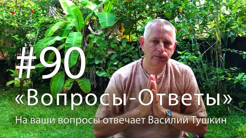 Вопросы Ответы, Выпуск, 90 Василий Тушкин отвечает на ваши