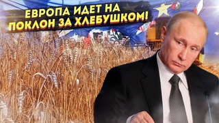 Евросоюз взвыл: Россия, дай покушать!