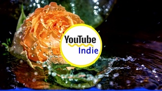FRESH BODY SHOP - Weightless (YouTube Indie)