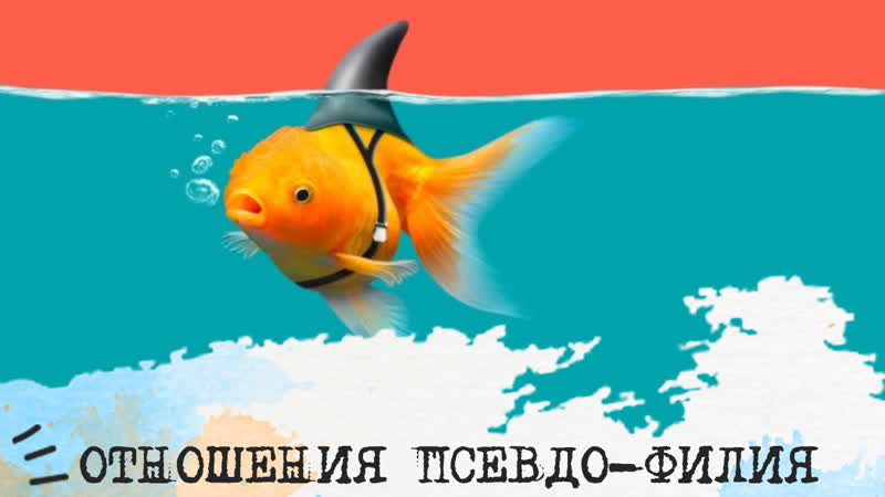 Отношения ПСЕВДО