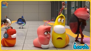 Larva Compilation: COVID - 19  Larva Cartoons - Comics - Official  Stop Motion Animation Cartoons