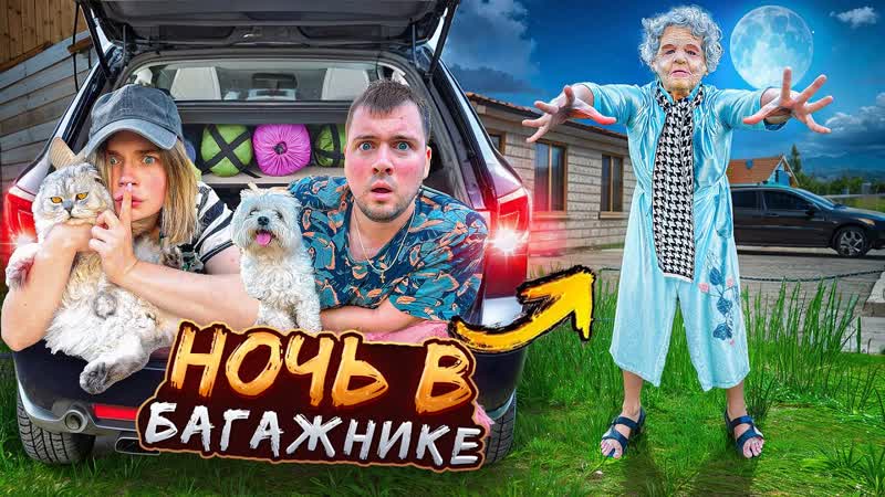НОЧЬ В БАГАЖНИКЕ С КОТАМИ, СКРЫВАЕМСЯ ОТ ЗЛОЙ НЯНИ SCHOOLBOY