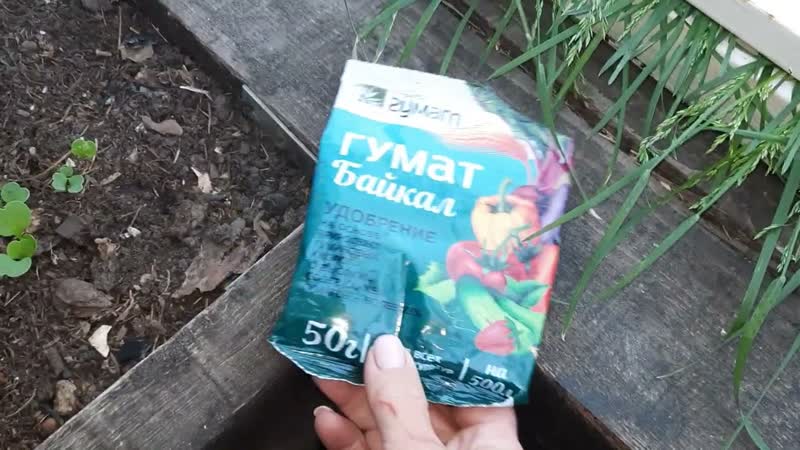 Калийная подкормка для томатов во время завязывания