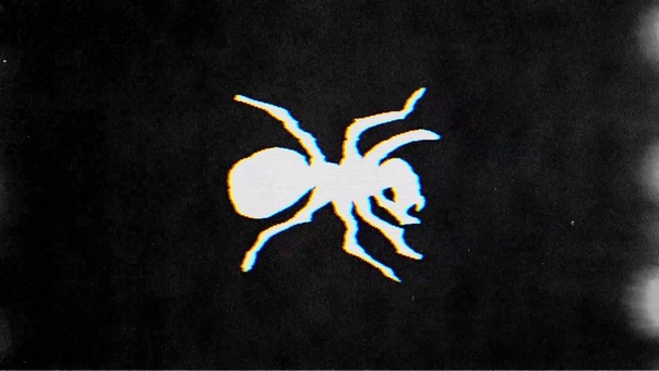The Prodigy Run With The Wolves ( Live In