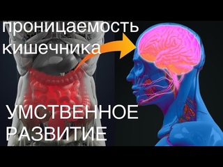 Дырявый кишечник и Аутизм @ADVENTUROUS HOMESCHOOLERS