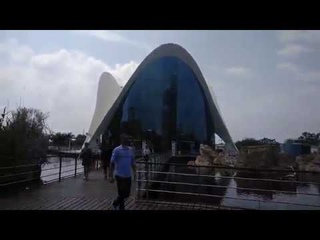 Oceanografic Aquarium Valencia 13