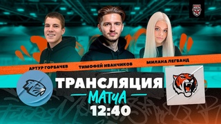 Динамо-Шинник - Амурские тигры |  | Молодежная хоккейная лига