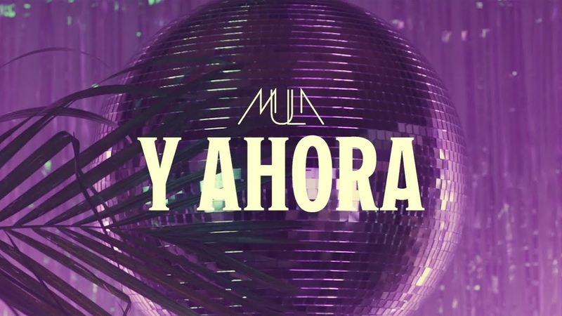 MULA Y