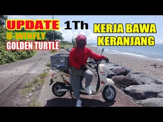 Update Review Molis Uwinfly Golden Turtle 1Th Kerja Bawa Keranjang