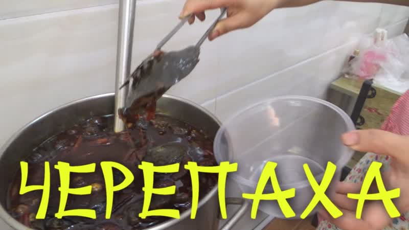 Шокирующая китайская еда:
