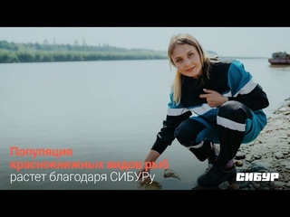 СИБУР выпустил более 7 тысяч мальков осетра в реку Иртыш
